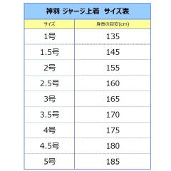 yH񂹕izu_H SHINWAvėpW[W(㒅)