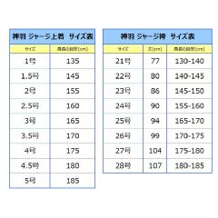 yHizu_H SHINWAvW[W㉺Zbg(SW)