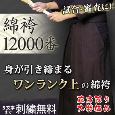 12000ԖȌ